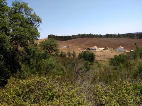 IMG_20190719_121718920_BURST000_COVER_TOP