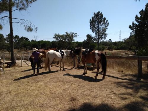 IMG_20190719_161225707