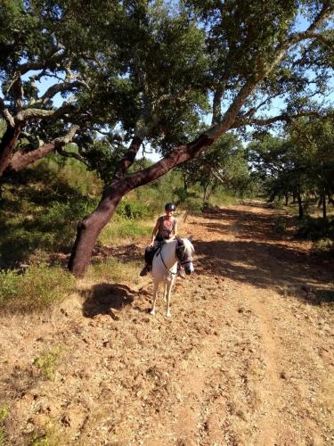 IMG_20190719_171519993