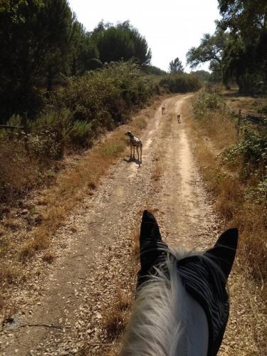 IMG_20190719_172314206