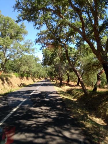 IMG_20190720_104312544