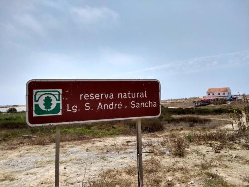 IMG_20190722_144520296_HDR