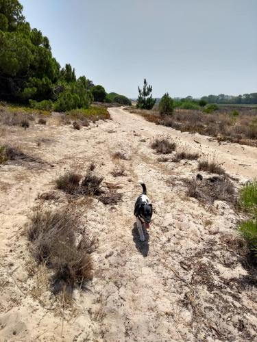 IMG_20190723_123932425_HDR