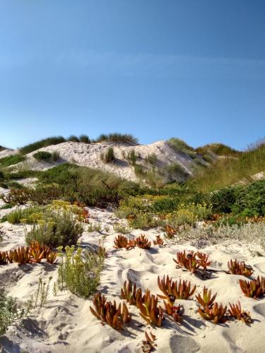 IMG_20190726_175811501_HDR